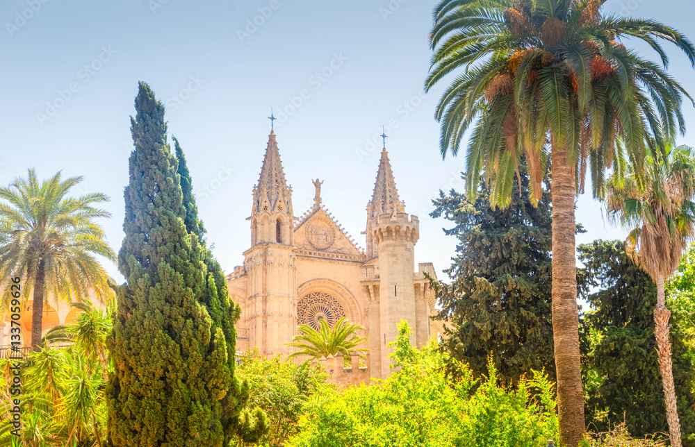 Naklejka premium Palma de Majorca, Spain