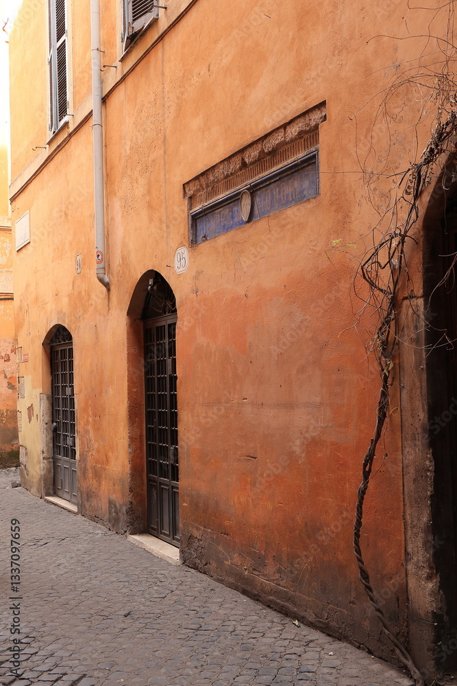 Obraz premium Via dei Cappellari Street View with Orange Brown Building Facades in Rome, Italy