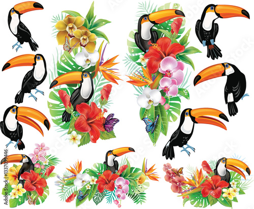 Tropical Toucan Set with Exotic Flowers, Hibiscus, Orchids, Palm Leaves, and Rainforest Foliage. Perfect for summer, jungle themes, and tropical designs