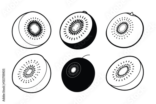 Kiwi – Actinidia deliciosa line art vector illustration