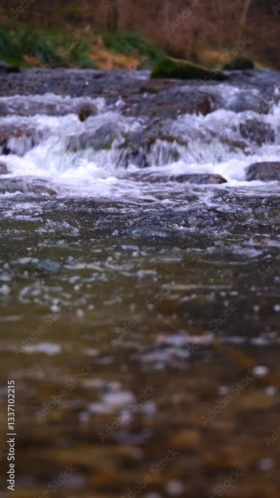Calm water flowing in a natural stream with gentle ripples and reflections of light Calm water flowing in a natural stream with gentle ripples and reflections of light