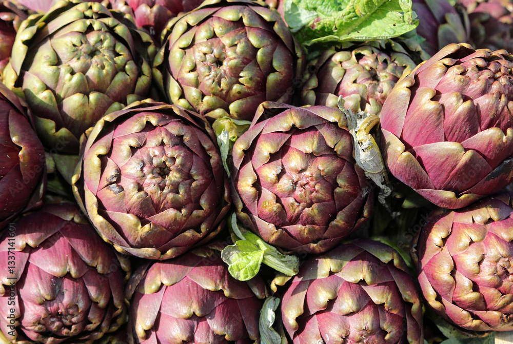 background of large green ripe artichokes freshly picked from the field for sale at the market background of large green ripe artichokes freshly picked from the field for sale at the market