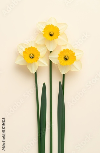 Wallpaper Mural Elegant trio of vibrant daffodils against a soft cream background, perfect for spring decor and floral design inspiration Torontodigital.ca