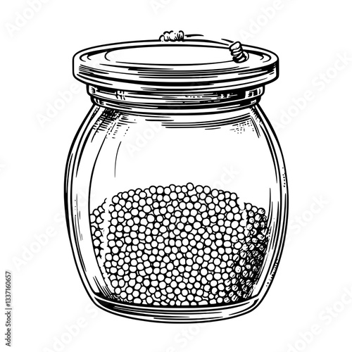 Engraved illustration of a vintage glass jar filled with mustard seeds showcasing intricate hand-drawn details