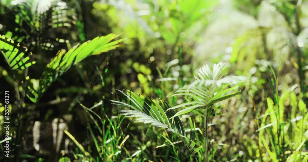Ferns and various green plants cover the forest floor, illuminated by bright sunlight, creating a serene and vibrant natural environment during midday. Ferns and various green plants cover the forest floor, illuminated by bright sunlight, creating a serene and vibrant natural environment during midday.