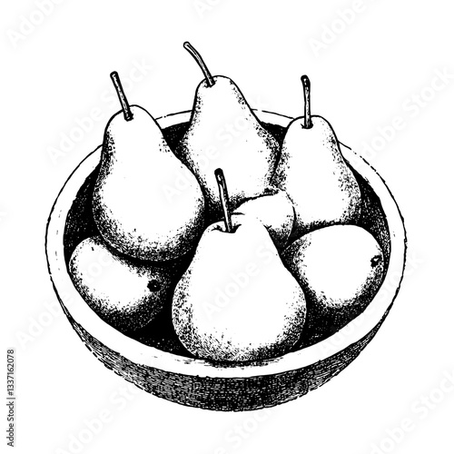 Elegant hand-drawn engraving of pears nestled in a rustic bowl showcasing vintage artistry and timeless design