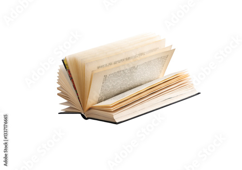 Εκτύπωση καμβά An open vintage book with flipped pages, showcasing text