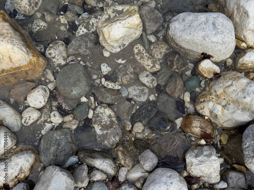 Wallpaper Mural Riverbed Stones Detail: Natural Rock Texture Torontodigital.ca