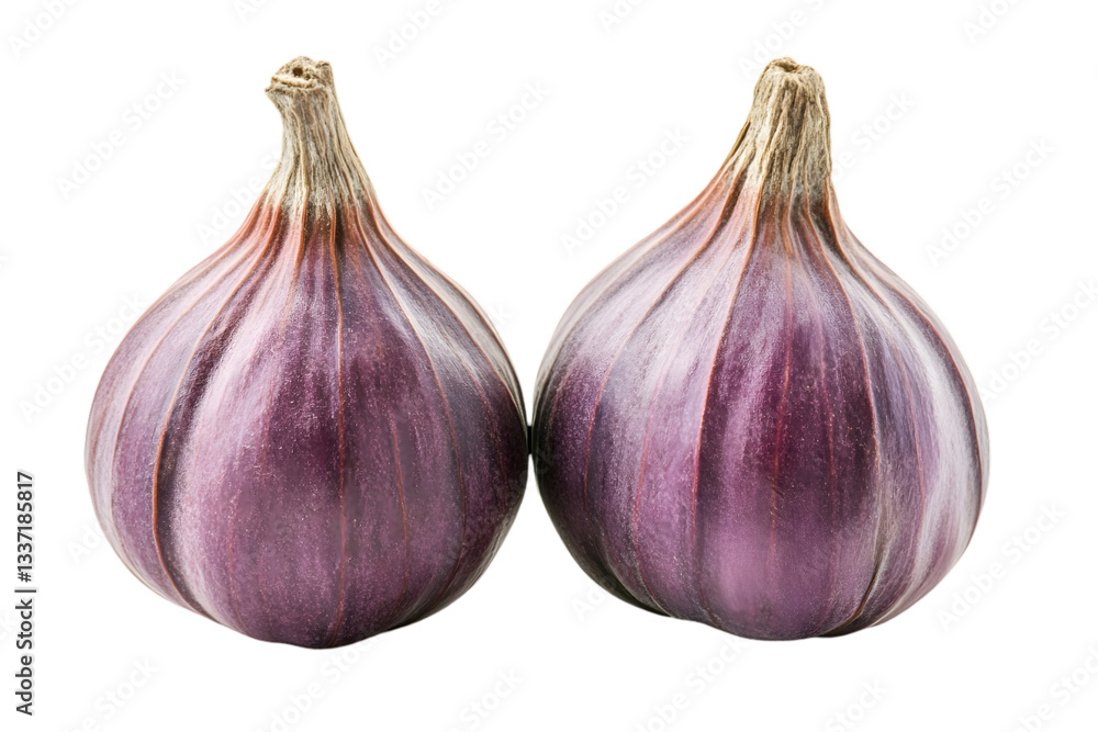 Fototapeta premium Pair of Fresh Ripe Purple Figs Isolated on Transparent Background Close Up