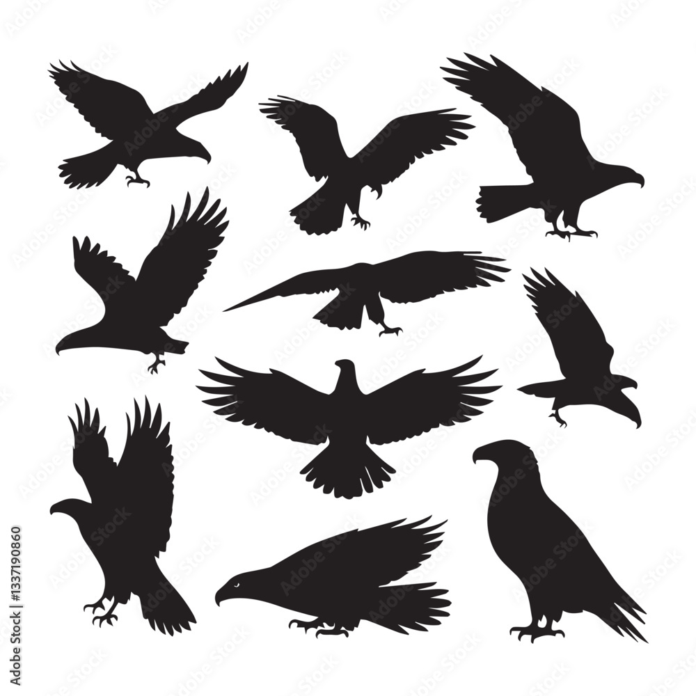 Obraz premium A white background with 12 black silhouette illustrations of eagles in various poses and styles.