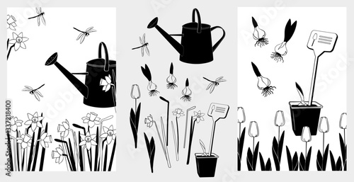 Gardening poster templates. Watering can, dragonflies, blooming daffodils and tulips, bulbs. Set Elements for background, brochure covers, marketing materials, postcards, black and white illustration
