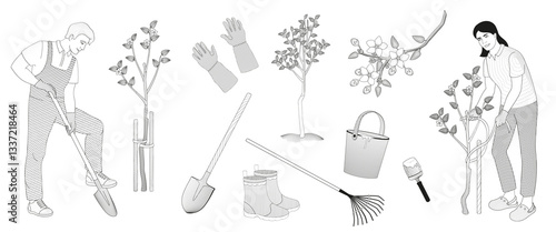 A man with a shovel digs on, women ties the apple saplings to a wooden peg. gardening tools - protective gloves, shovel, rake, pair of rubber boots, blooming apple tree, black and white vector illustr