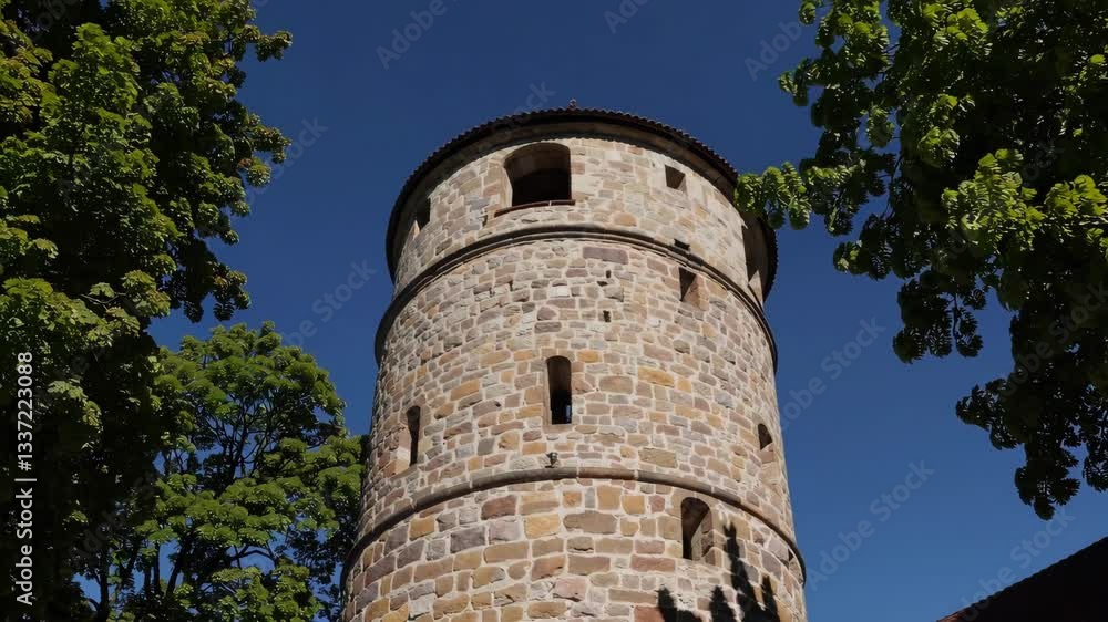 Historic stone tower surrounded by lush trees on a sunny day in a tranquil park Historic stone tower surrounded by lush trees on a sunny day in a tranquil park