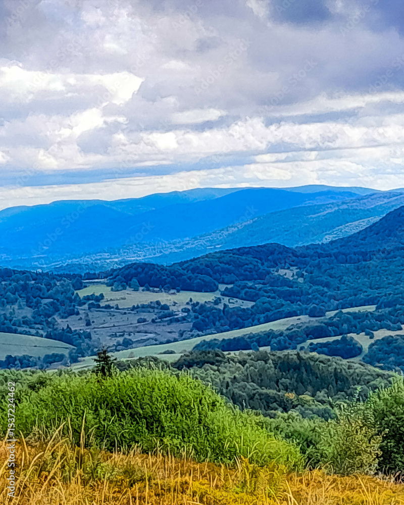 Fototapeta premium Beautiful view of Bieszczady mountains. Carpathians.