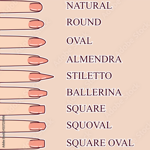 Illustrated guide displaying different nail shapes, including oval, square, stiletto, and ballerina. Useful for professional nail artists, beauty salons, and manicure enthusiasts