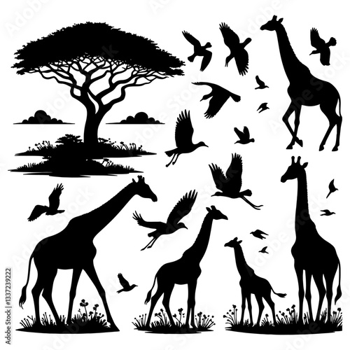 Set of 5 giraffes silhouettes on white background, Giraffe vector illustrations, Birds silhouettes vector white background. 