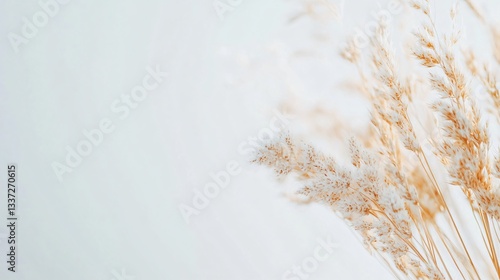 Dried grass bouquet, soft neutral tones in minimalist setting, perfect for home decor or calming indoor ambiance, copy-space available