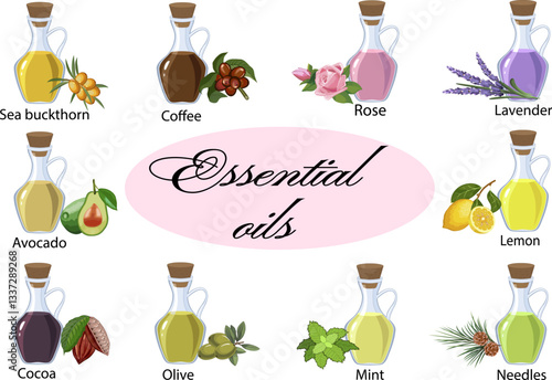 Presentation of cosmetic oils.Color vector illustration with cosmetic oils in glass vessels on transparent background with text.