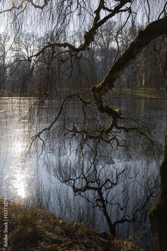 Walking along the ponds in the forest called 'English work' with the beautiful trees and the wonderful reflections in the water, near Zwolle, province of Overijssel