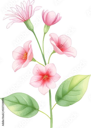 Wallpaper Mural Watercolor flower isolated on transparent background. Vector illustration. Torontodigital.ca