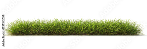 Meadow grass row prairie cutout transparent background 3d rendering png file 
