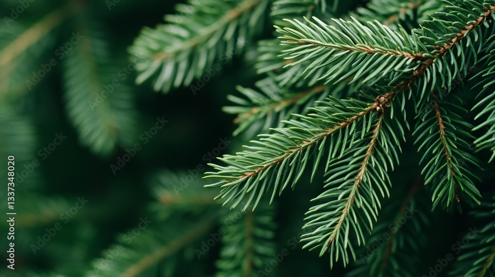 Lush green foliage, close-up of pine needles, vibrant natural texture, perfect for nature themes or eco-friendly designs. Lush green foliage, close-up of pine needles, vibrant natural texture, perfect for nature themes or eco-friendly designs.