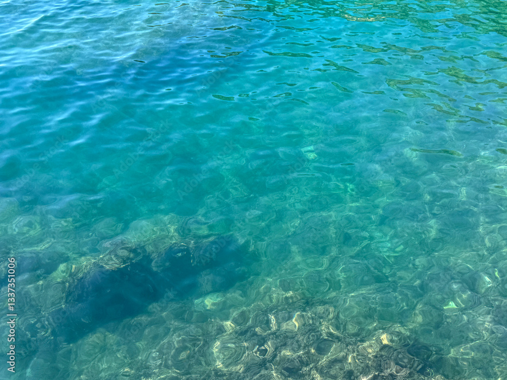 Fototapeta premium Transparent clear water of Adriatic sea
