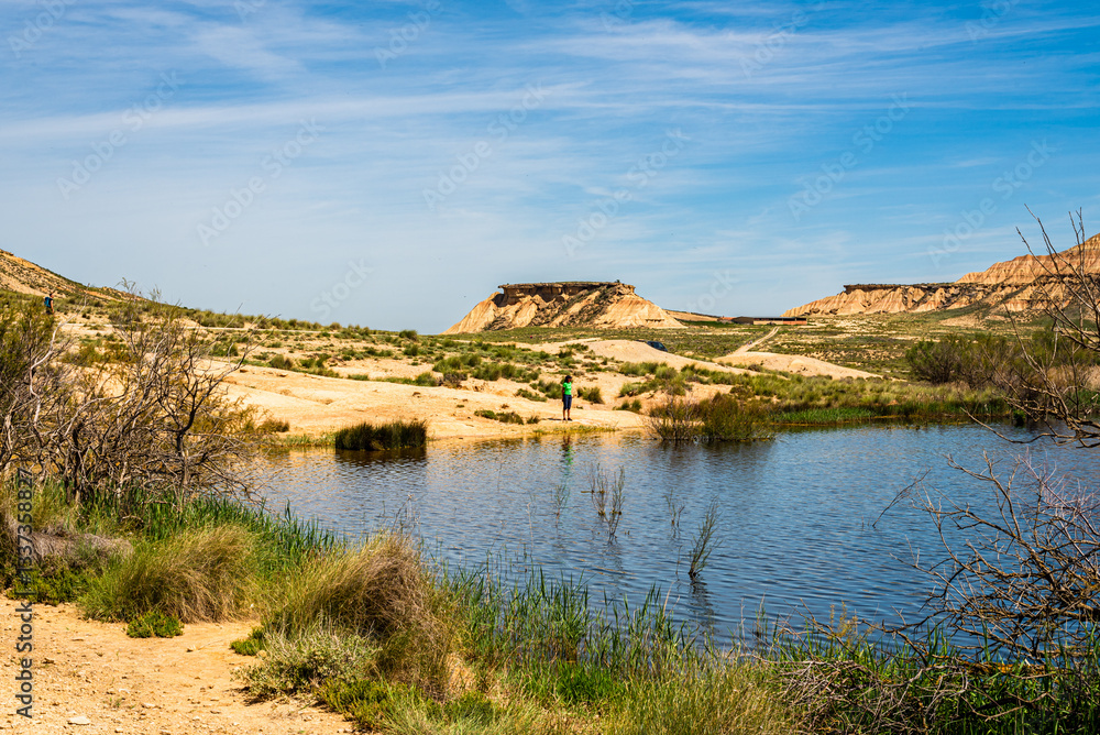 Désert de Bardenas