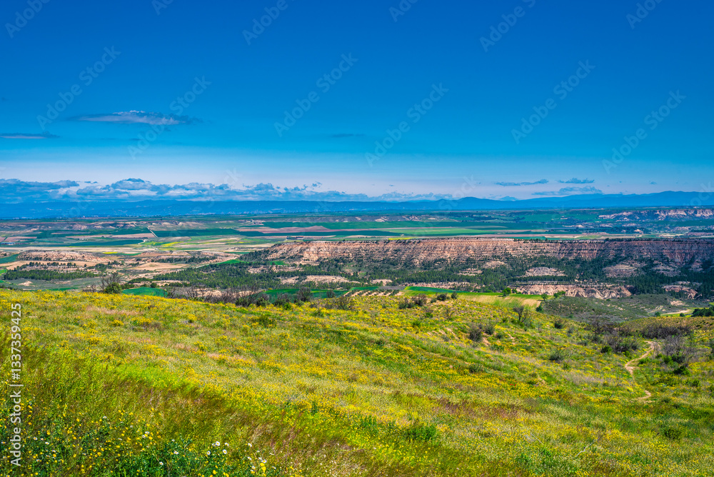 Désert de Bardenas