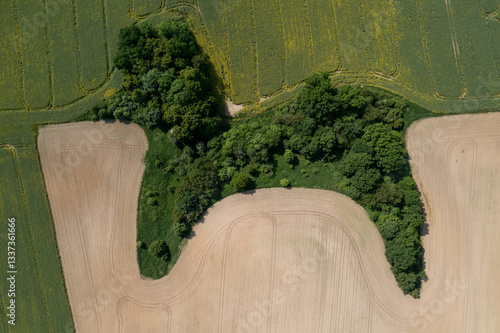 Aerial View of Forest Patch in Farm Field