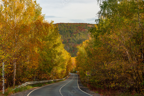 Golden Autumn in the Samarskaya Luka National Park, near the village of Shiryaevo!