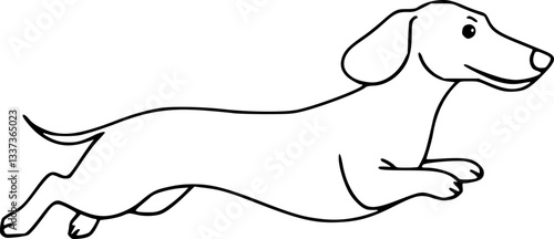 Outline of a running dachshund playful dog motion vector design
