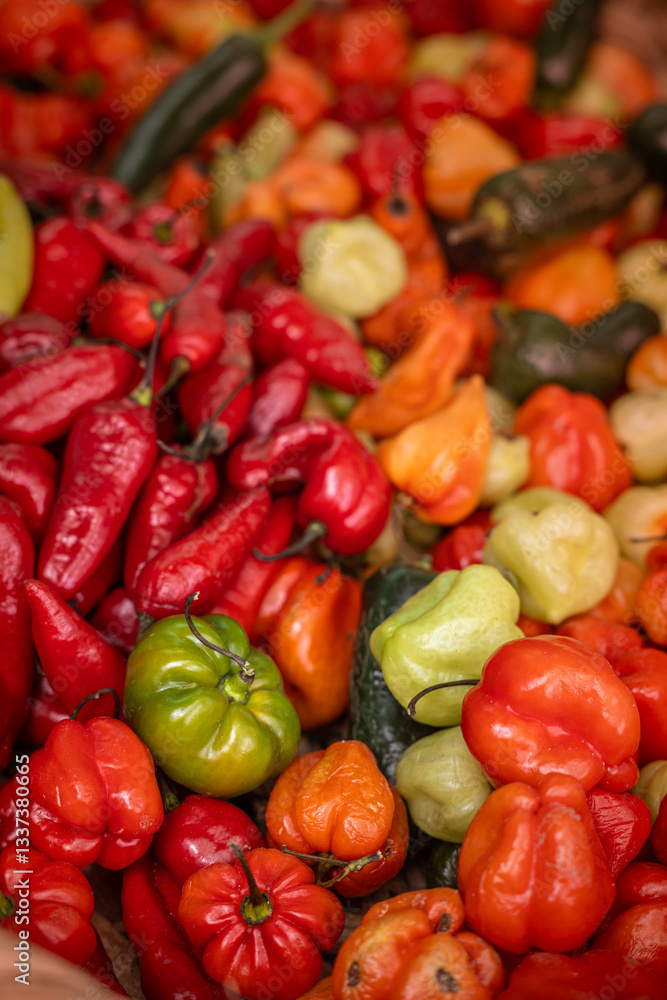 full frame background image with variety of Hot Peppers full frame background image with variety of Hot Peppers