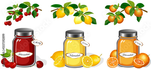 Jars of marmalade and fruits.Vector collection with marmalade in jars and fruits on branches.