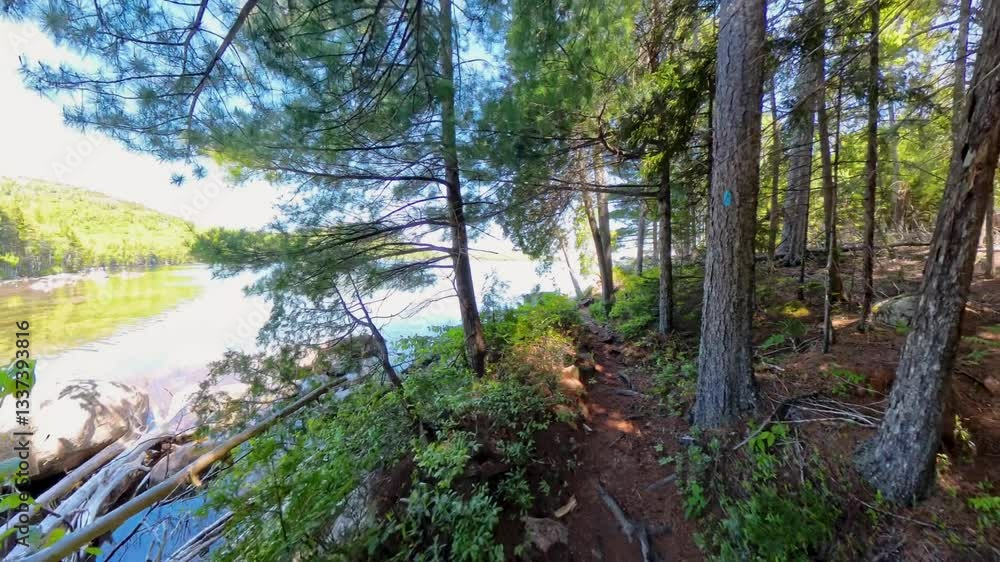 Hiking Along Shore of Eagle Lake in Acadia National Park