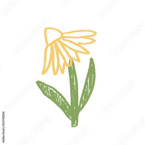 Chamomile flower crayon drawn. Spring plant doodle isolated on white background. Summer floral kids element. Chalk or pastel style childish scrawl wildflower shape. Vector illustration by pencil.