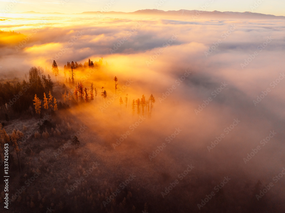 Obraz premium Sunset over Liptov region with and High Tatras mountains around. Misty view of tree tops with the rays of morning light.