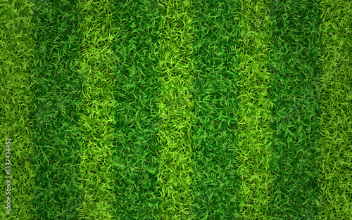 Grass texture. Green sport field concept. Striped lawn for soccer or football. Fresh eco background. Grass carpet with stripes top view. Vector illustration.