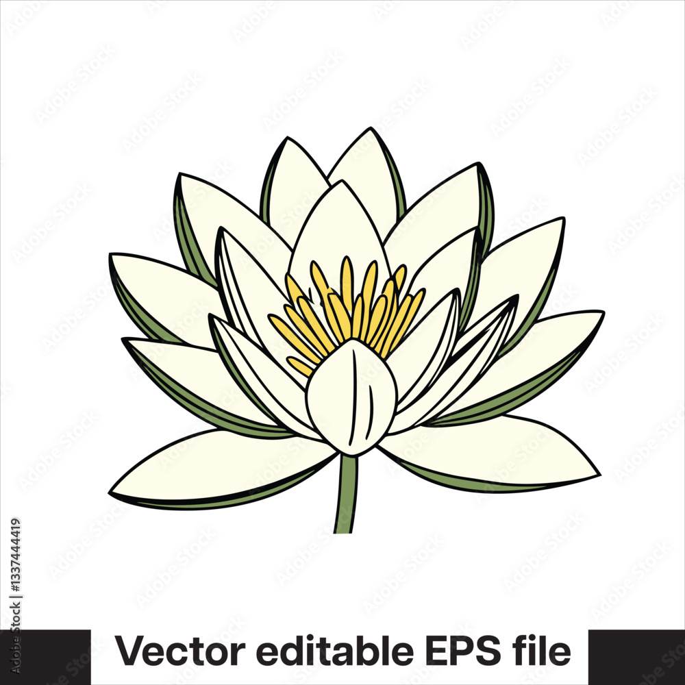Vector Lilly pad flower Vector Lilly pad flower