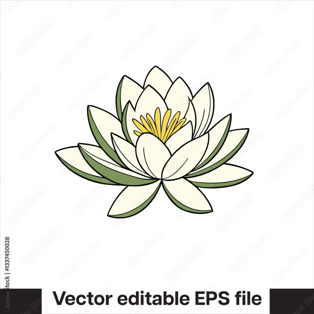 Vector Lilly pad flower Vector Lilly pad flower