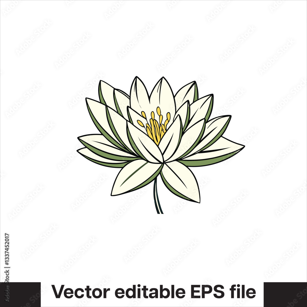 Vector Lilly pad flower Vector Lilly pad flower