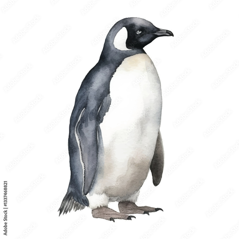 Fototapeta premium penguin isolated on white