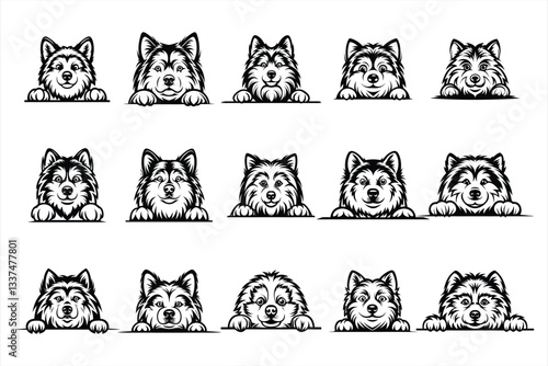 Alaskan Malamute peeking svg