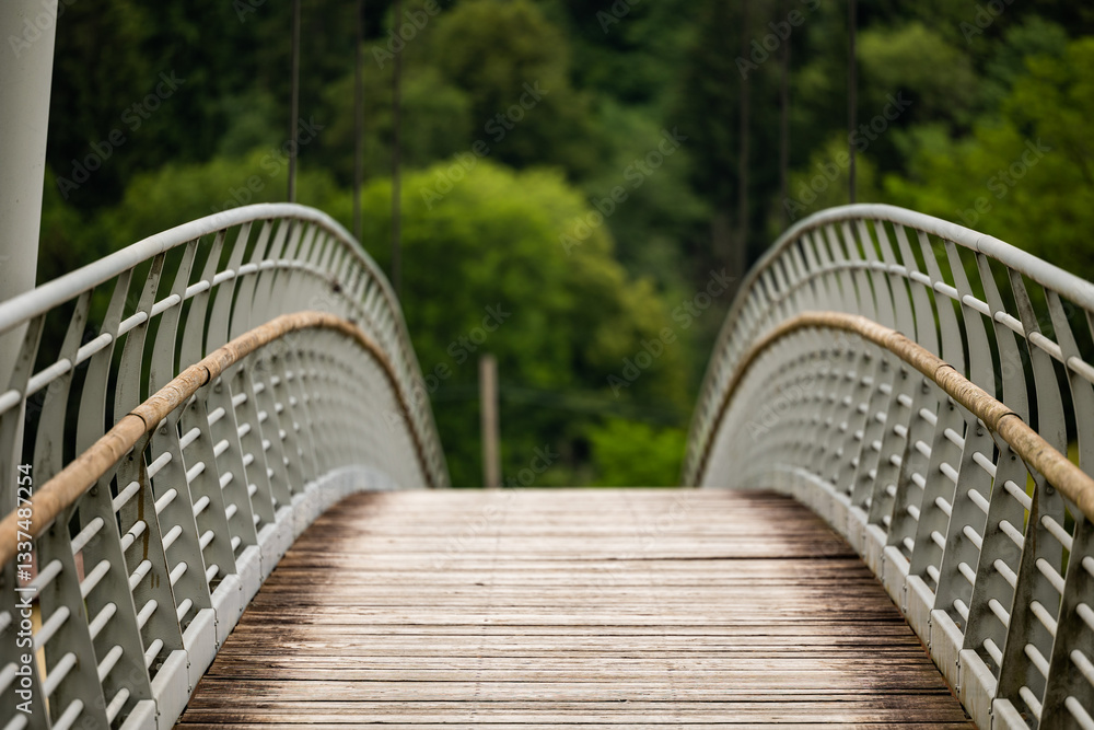 dettaglio di un ponte di legno e metalllo in prospettiva, all'aperto, di giorno, in un ambiente di montagna nel nord Italia, con una verde foresta sullo sfondo