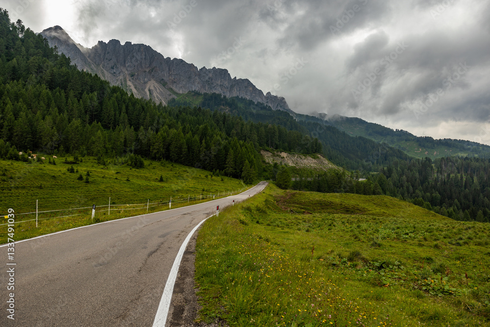 panoramica su un ambiente di alta montagna nell'Italia settentrionale, in Veneto, con una strada che si estende in lontananza lungo i prati e i pendii verdi, sotto un cielo nuvoloso