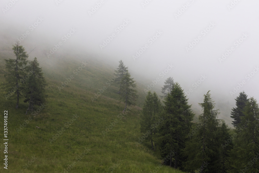 pendii erbosi di una montagna nel nord Italia, con alcuni alberi, immersi nella nebbia, di giorno, in estate