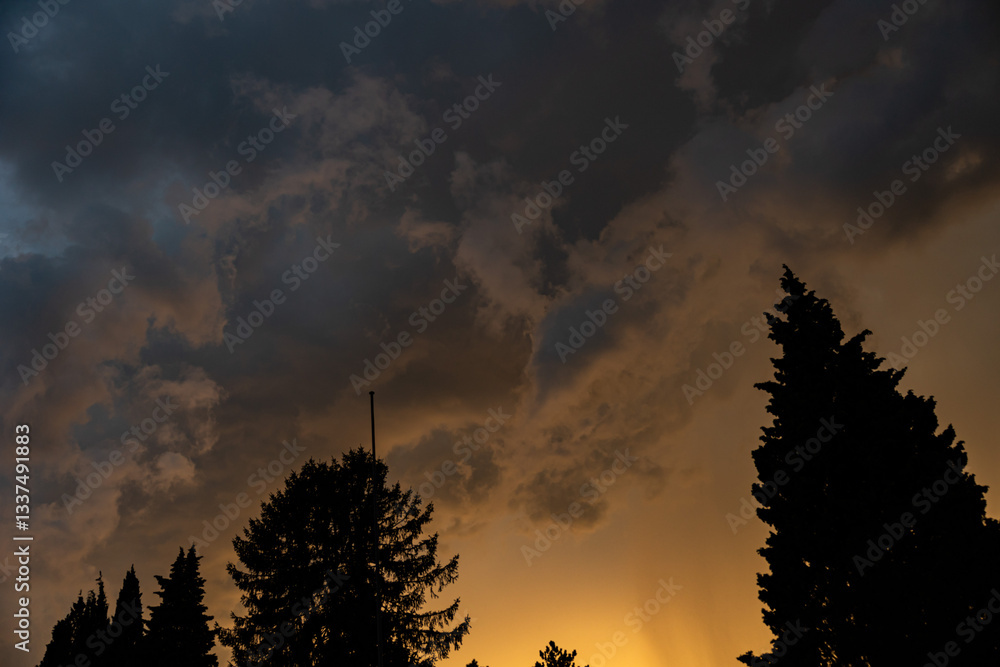 sagome nere di alberi in primo piano con cielo temporalesco, scuro e minaccioso sullo sfondo, al tramonto