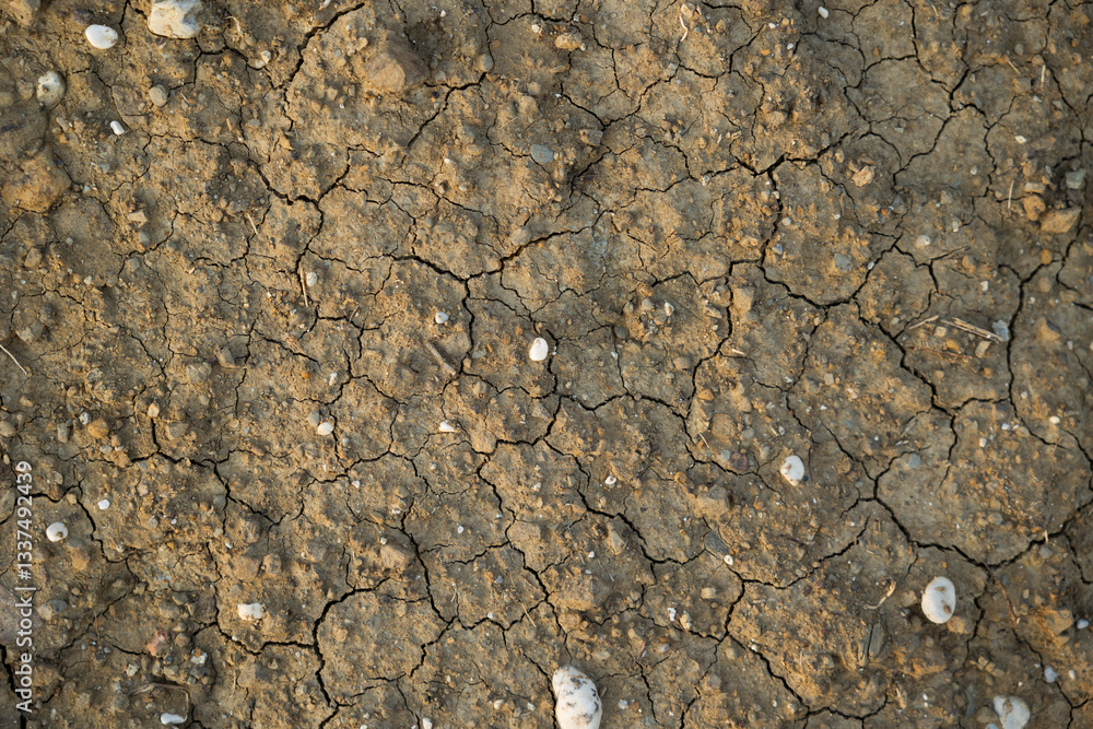dettagli di un terreno fatto di terra fangosa bagnata ed in parte secca, con piccole crepe