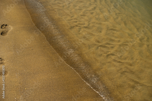 Obraz na płótnie bagnasciuga in un ambiente di mare calmo, lungo una delle coste italiane nella regione Veneto, con acqua trasparente, di giorno, in estate w salonie