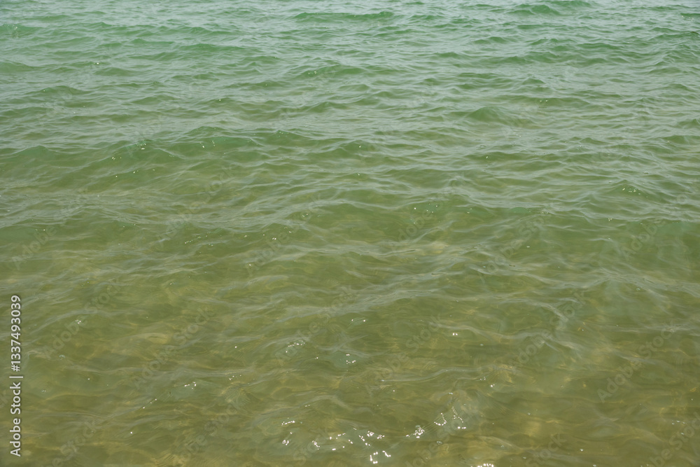 dettaglio del profondo fondale marino e superficie semi-trasparente del mare Adriatico, di giorno, in estate
